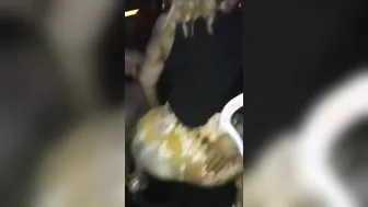 Ig Thots Pt four