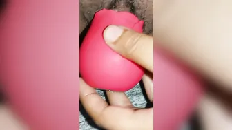 What a Nut...