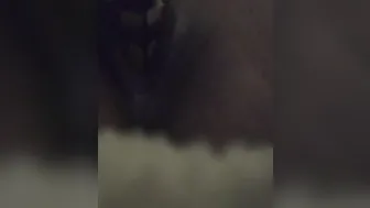 FuckyThingyLooksLikeABee