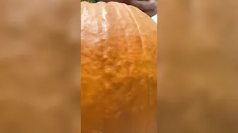 Pumpkin With A Side Of Vagina