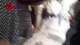 Cristina Almeida inside a compilation