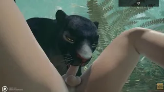 Wild Life / African Panther Hunts down her Prey