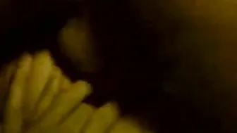Seymore And Shane On The Loose (1994)