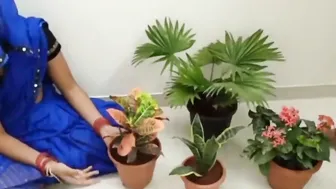 A kitane me podha Bahut haryali hai