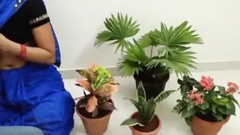 A kitane me podha Bahut haryali hai