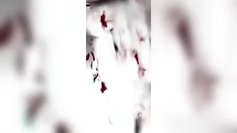 Whos Having Fun? this is Art