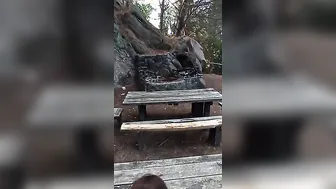 Hiking porn video – Using her huge butt inside the forest for a bareback