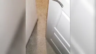 Young Ex-Wife tells hubby to leave while she takes bbcs