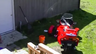 Nude Webcammer its Cleo Butt Fucks herself inside the back Patio
