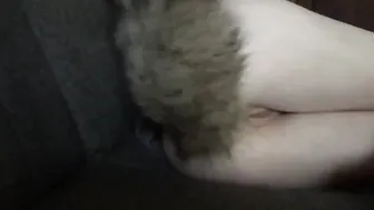Creme De La Meow Meow