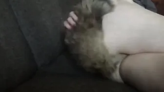 Creme De La Meow Meow