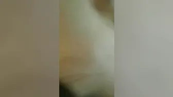 挡不住的诱惑