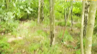 Picnic Area Outdoors Doggy Style  Drink