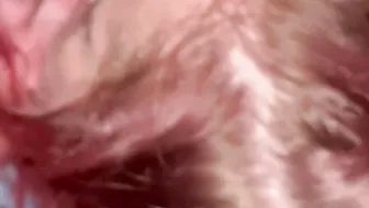 Sloppy Super Cock Blowing