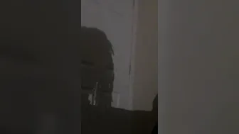 Damn the Shadow