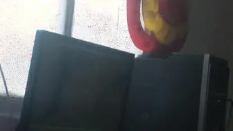 My Hary Cheating Pussy Boned by my best Friend into Absent of my boyfriend
