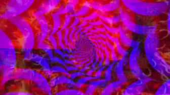 Piggie Virus Brain Infection one