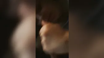 AK seemed Good Happy about Waking up to a Cock inside her Face