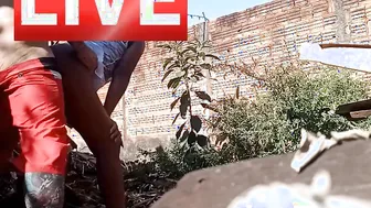 brand new yummy