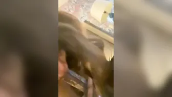 sixty-nine and Catch a Load