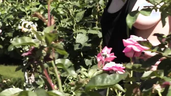 Teaser - Flashing into a Loose Dress at a Delicious Rose Garden