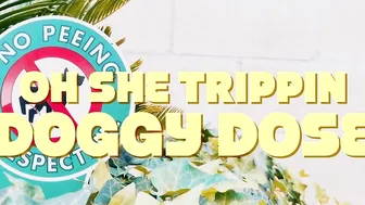 #OhSheTrippin - Doggy Dose - Kabrinas First Video (Breeding Cummed Anal Anal Pleasure