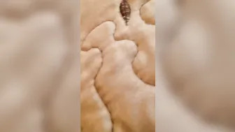 My Favorite Foot Friend