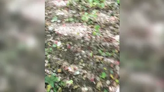 OUTDOORS PUBLIC Amateur Plowed into the Woods - pov JIZZED -cummybush Getting Fuck outdoors W/ Cum in