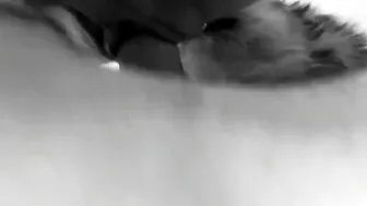 MY KITTY SUSPENDED  PLOWED ROUGH