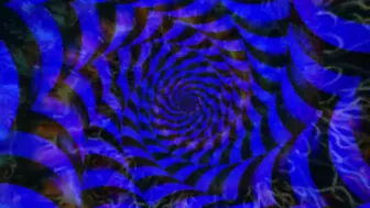 Piggie Virus Brain Infection two