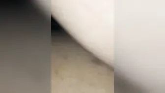 Gigantic Butt