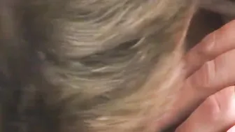 Hat porn video – Mein Sexbessener Stiefvater hat es wieder gewollt