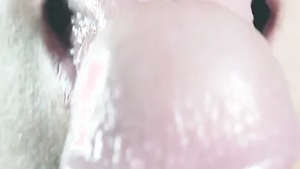 Close up edging oral sex
