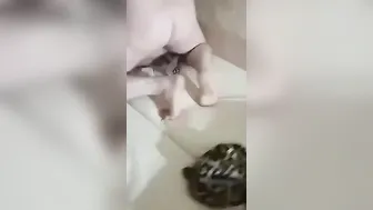 Hoe wifey spreads her legs for neighbour