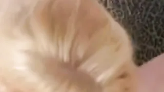 Crazy Hot Celeb Head with a Cummed Session again