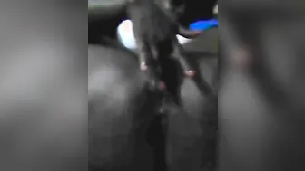 Ghetto thick booty nasty whore so Beauty