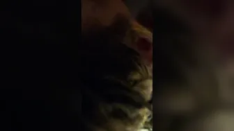 Slutwife Squirts on Huge Latin Dick and Getting a Mouthful
