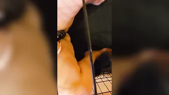 Fun inside cage