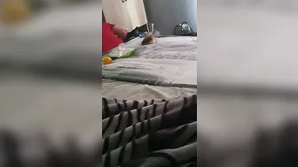 Step Milf wants to Suck and Banged Step Son while Dad is into the same Room