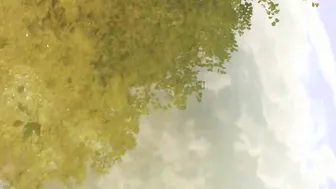 Spontaneous outdoors sex at the lake