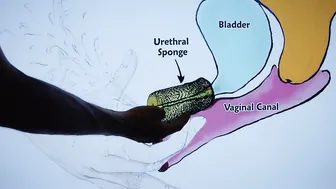 How To? SQUIRTING TUTORIAL - mr PussyLicking