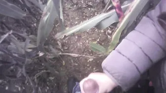 Hand Job into the field with much cum