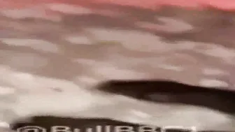 Asses sex an Arab girl in Sweden