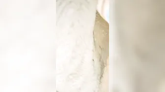 pakistan fiance giving hand job with pretty hand