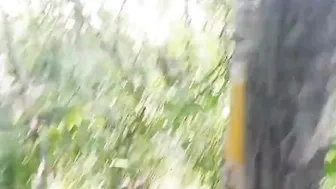 Quick blow job inside the woods behind the parking lot