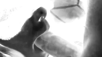 Hungry Women Drink Penis and Cum