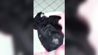クロッチが汚れた彼女のパンツに精子をぶっかけ