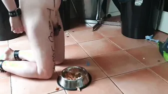Eating cold stale scraps into chastity
