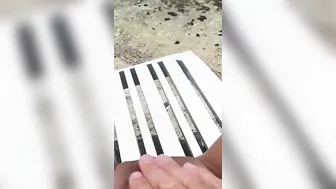 Am öffentlichen Strand Von Valalta Megageil Gesquirtet - Schweinchenstrand - Punta Kriz