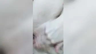 View this Amateur cougar gotten Banged by Baby Daddy after some Drinks
